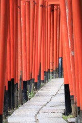 Fototapeta premium 入口