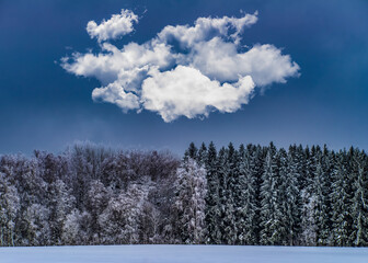 Beautiful winter landscape. Snowy forest. Cloud in sky.