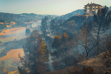 Smoke from fires rises from the countryside of Bufalvent, in the Catalonia region, where numerous...