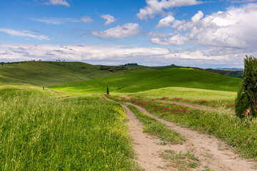 Fototapeta na wymiar View of the scenic Tuscan countryside