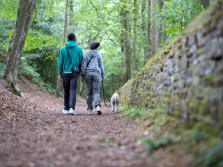 Teenage (16-17) girl and boy with dog in forest, rear view