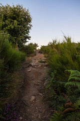 Fototapeta premium Chemin de randonnée au sommet du Mont Caroux à l'aube, avec la lune