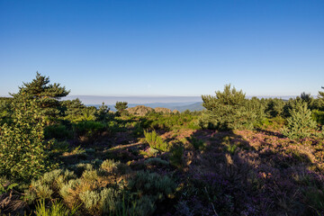 Fototapeta na wymiar Vue matinale sur les paysages des Monts de l'Espinouse depuis le sommet du Caroux dans le Parc naturel régional du haut-Languedoc