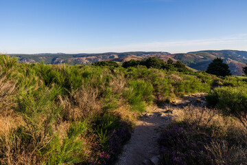 Vue sur un parc éolien depuis le sommet du Mont Caroux