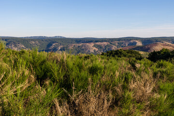 Vue sur un parc éolien depuis le sommet du Mont Caroux
