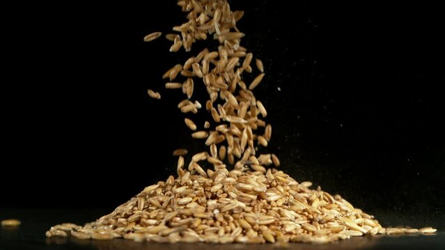 Falling of grain oats close-up, macro shot. Filmed on high speed cinematic camera at 1000 fps.