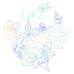 額紫陽花の線画イラスト