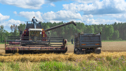 Naklejka premium Combine harvester harvesting on the field. Harvesting wheat. Harvester machine working in field.