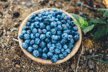 Wooden plate with blueberries