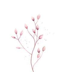watercolor drawing isolated on white background. delicate design for wedding and decoration. Vector meadow flower in vintage style