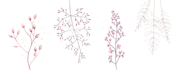 Watercolor meadow  flowers isolated on white floral collection of berries, leaves, twigs, bunch in pastel pink purple violet botanical style, wedding design elements