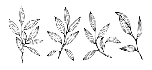 Set of abstract twigs with leaves isolated on a white background. Vector hand drawn illustration. Ideal for cards, logos, decorations, invitations, cosmetic design.