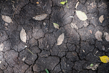 Cracked ground with dry leaves, cracked ground for background