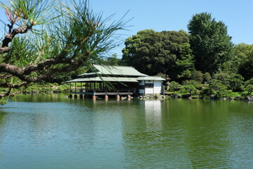 Fototapeta premium 日本庭園 the Japanese Garden