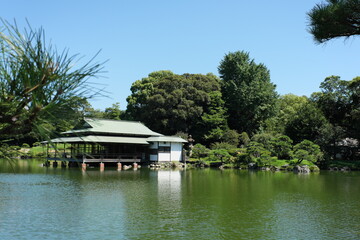Fototapeta na wymiar 日本庭園 the Japanese Garden