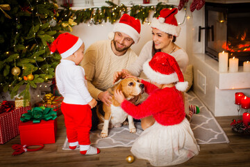 Happy family with dog beagle are waiting for the Christmas - Powered by Adobe