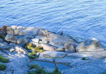 Outcrop in the Archipelago