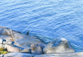 Outcrop in the Archipelago