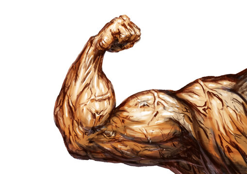 ちからこぶ Images Browse 33 Stock Photos Vectors And Video Adobe Stock