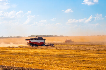 Fototapeta premium A combine harvester harvests bread in an agricultural field. Harvesting wheat