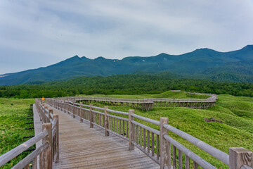 Obraz premium World Natural Heritage Summer Shiretoko Five Lakes