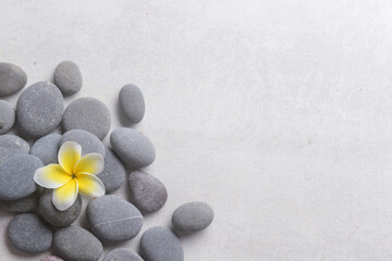 Fototapeta na wymiar Frangipani and zen like grey stones with copy space on gray background