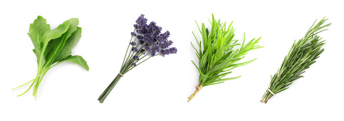Set with different aromatic herbs on white background, top view. Banner design
