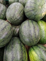 Lots of large sweet green watermelons, close up.