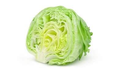 レタス イラスト リアル