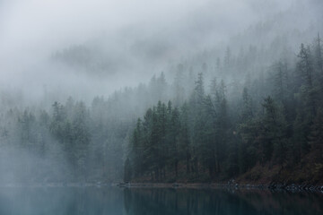 Tranquil atmospheric scenery with turquoise mountain lake and coniferous trees silhouettes in dense...