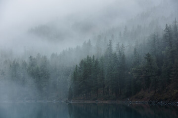 Tranquil atmospheric scenery with turquoise mountain lake and coniferous trees silhouettes in dense fog. Pure alpine lake in mystery thick fog. Calm glacial lake and forest edge in misty early morning