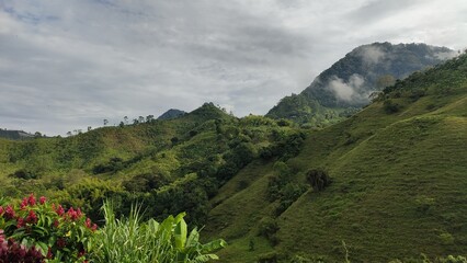 Beautiful green landscape in the Colombian Andes Mountains. Jardin, Antioquia, Colombia.