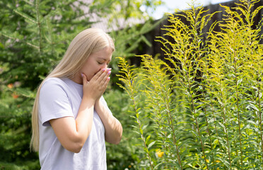 A young blonde girl stands near an ambrosia plant, covers her face with her hands and sneezes....