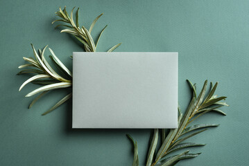 Blank card and green plants