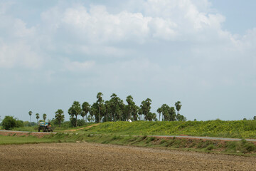 A beautiful landscape with palm trees