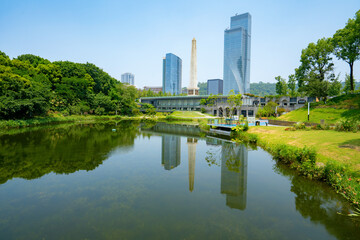 Beautiful Wetland Park and urban skyline in Chongqing, China