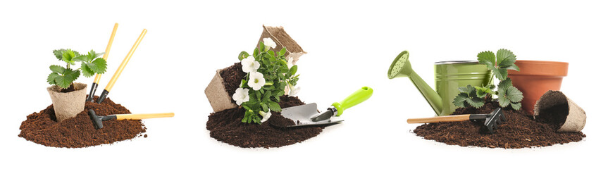 Set of plants, soil and gardening tools on white background