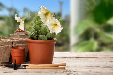 Set of gardening supplies on table outdoors