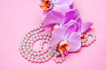 Pearl necklace and Purple orchid on pink background
