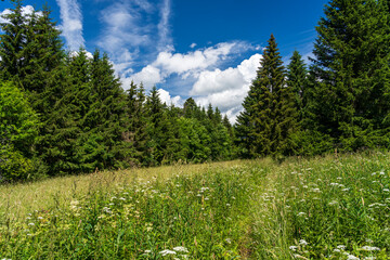 Das Naturschutzgebiet Lange Rhön in der Kernzone des Biosphärenreservat Rhön, Hessen, Bayern,...