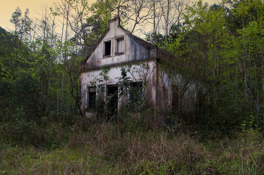 Abandoned sinister house in forest