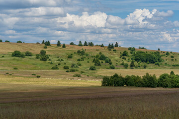 Fototapeta premium Das Naturschutzgebiet Lange Rhön in der Kernzone des Biosphärenreservat Rhön, Hessen, Bayern, Deutschland