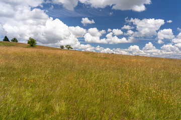 Das Naturschutzgebiet Lange Rhön in der Kernzone des Biosphärenreservat Rhön, Hessen, Bayern,...