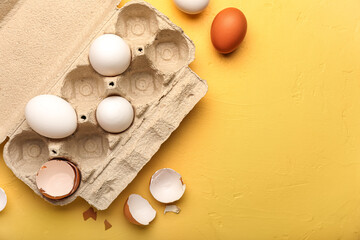 Cardboard holder with chicken eggs and shells on color background