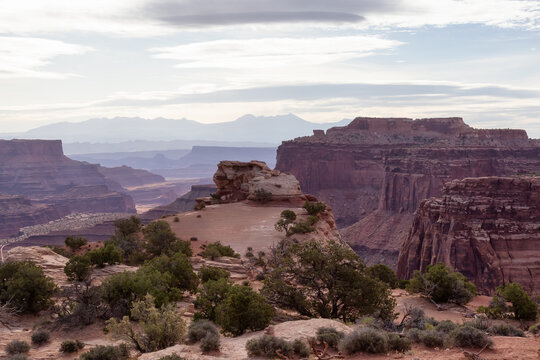 Scenic American Landscape and Red Rock Mountains in Desert Canyon. Spring Season. Morning Sky. Canyonlands National Park. Utah, United States. Nature Background.