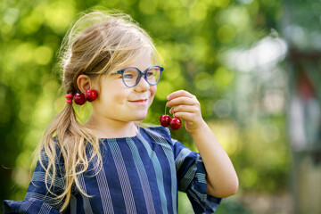 Little preschool girl picking and eating ripe cherries from tree in garden. Happy child with glasses holding fresh fruits. Healthy organic berry cherry summer harvest season. With cherry as earrings