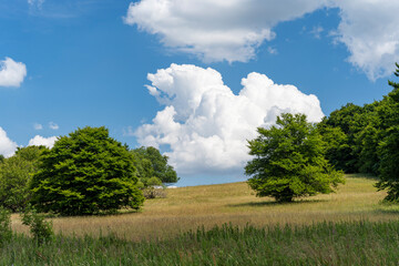 Obraz premium Das Naturschutzgebiet Lange Rhön in der Kernzone des Biosphärenreservat Rhön, Hessen, Bayern, Deutschland