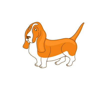 Basset hound, hound, dog, logo design. Animal, pet, pet shop and veterinary clinic, vector design and illustration