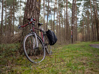 Fototapeta premium Rennrad im Wald