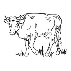 Cow hand drawing style icon vector. Suitable for farm animal.